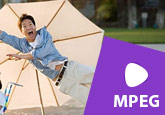 MPEG/MPG動画を再生する方法