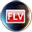 4Videosoft DVD FLV 変換