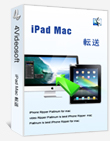 iPad Mac 転送