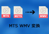 MTS/M2TS WMV 変換