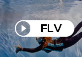 FLV 再生