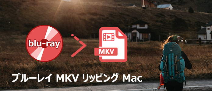 Mac ブルーレイ MKV 変換 リッピング