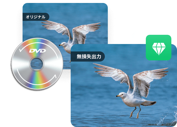 無損失にDVDをリッピング