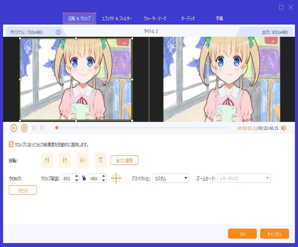 WinX DVD Ripper 危険性 - 編集