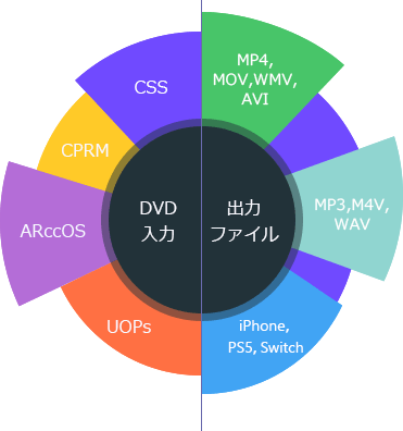 全てのDVDに対応、任意の動画/音声形式に変換