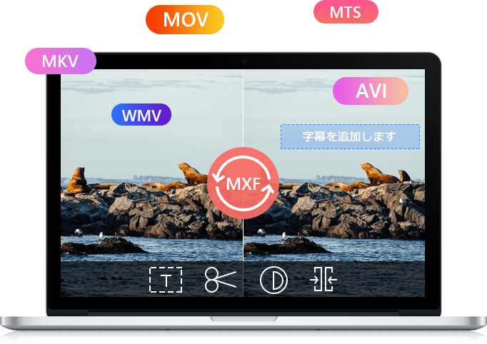 MXF 変換