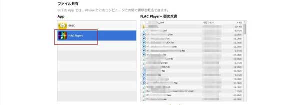 FLAC Player+