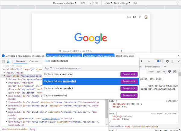 Chromeの拡張機能 - Capture full size screenshot
