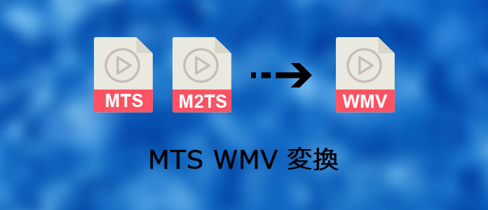 WTS WMV 変換
