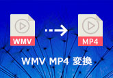 WMV MP4 変換