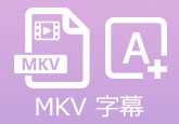 MKV 字幕