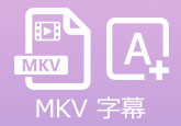 MKV動画に字幕を追加