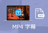 MP4 字幕