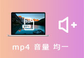 MP4 音量