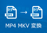 MKV MP4 変換