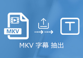 MKV 字幕抽出