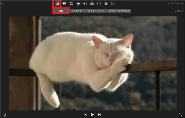 iMovieで動画の白飛びを補正
