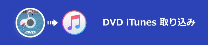 iTunes DVD 取り込み