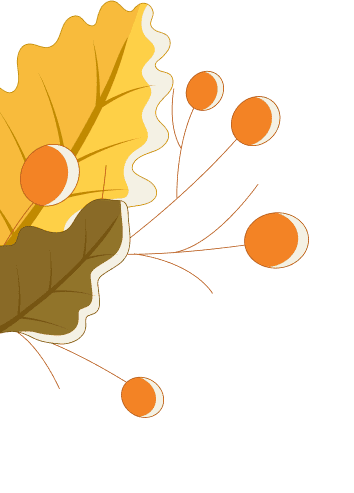 Decoration