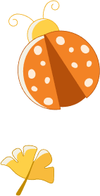 Decoration