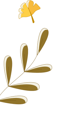 Decoration