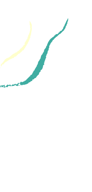 Decoration